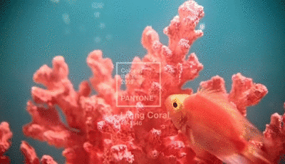 1564646435426882.gif 8718367adab44aedfa07a550be1c8701a18bfb3d.gif