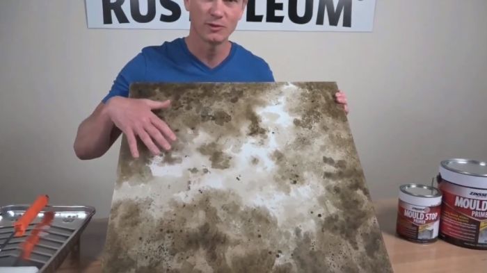 1576224144982353.jpg Benefits-Zinsser-Mold-Killing-Primer.jpg